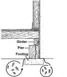 Termite Control 